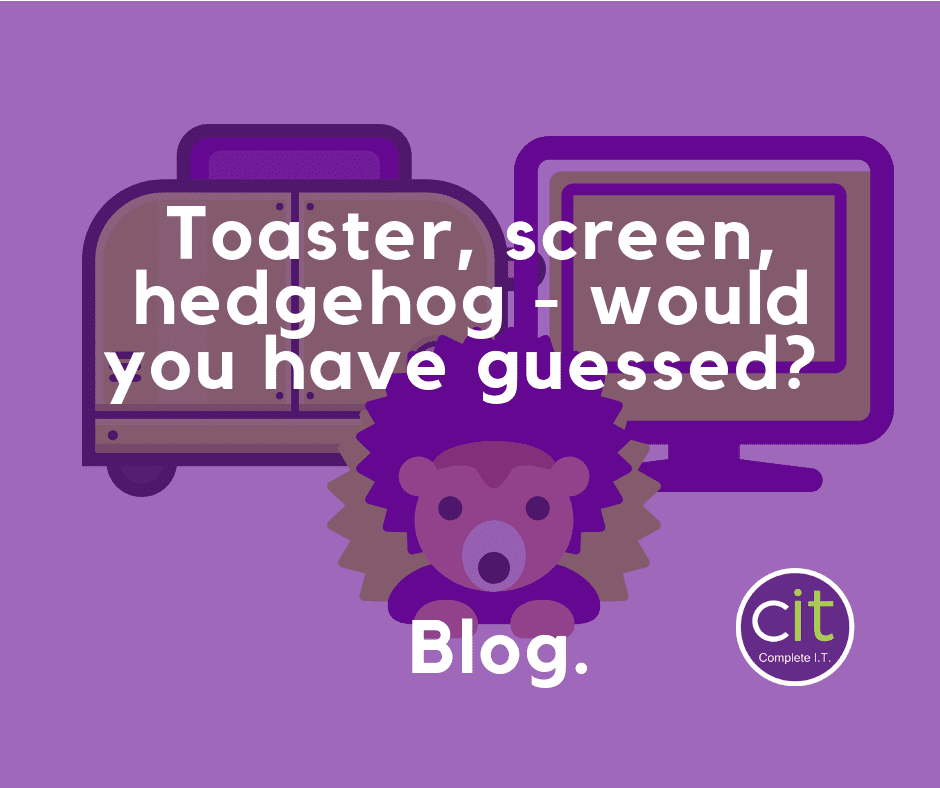 Toaster-screen-hedgehog