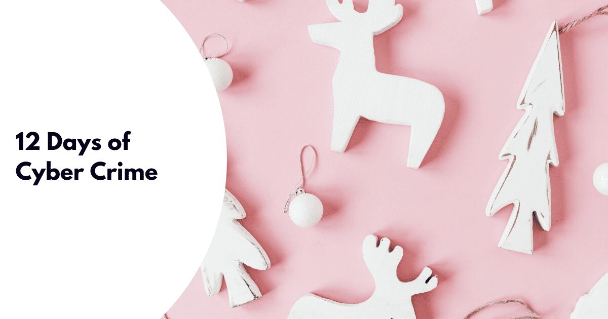 12 Days of Cyber Crime