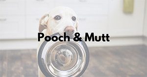Pooch and Mutt Case Study