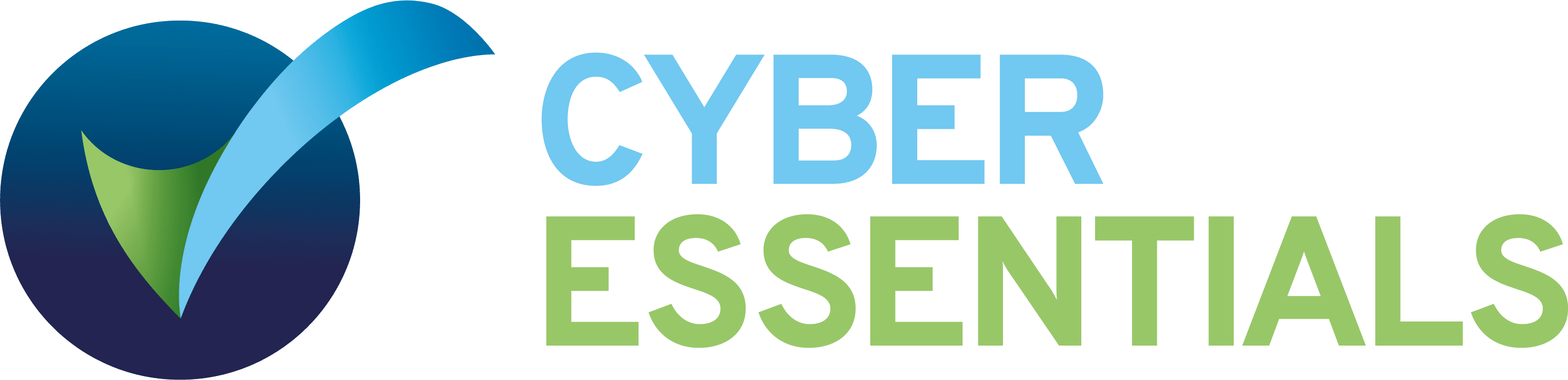 Cyber Essentials PLUS Badge Large